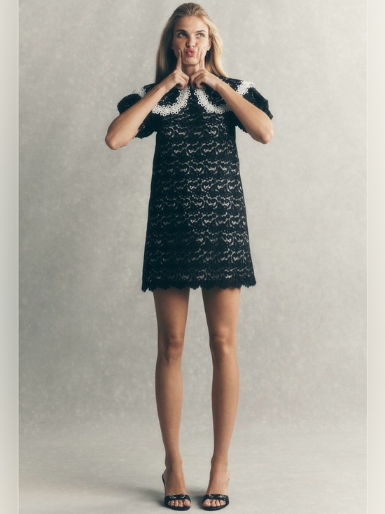 Anthropologie Dresses & Skirts - ❤️🔥Firm Price❤️🔥Maeve puff sleeve collared lace mini dress